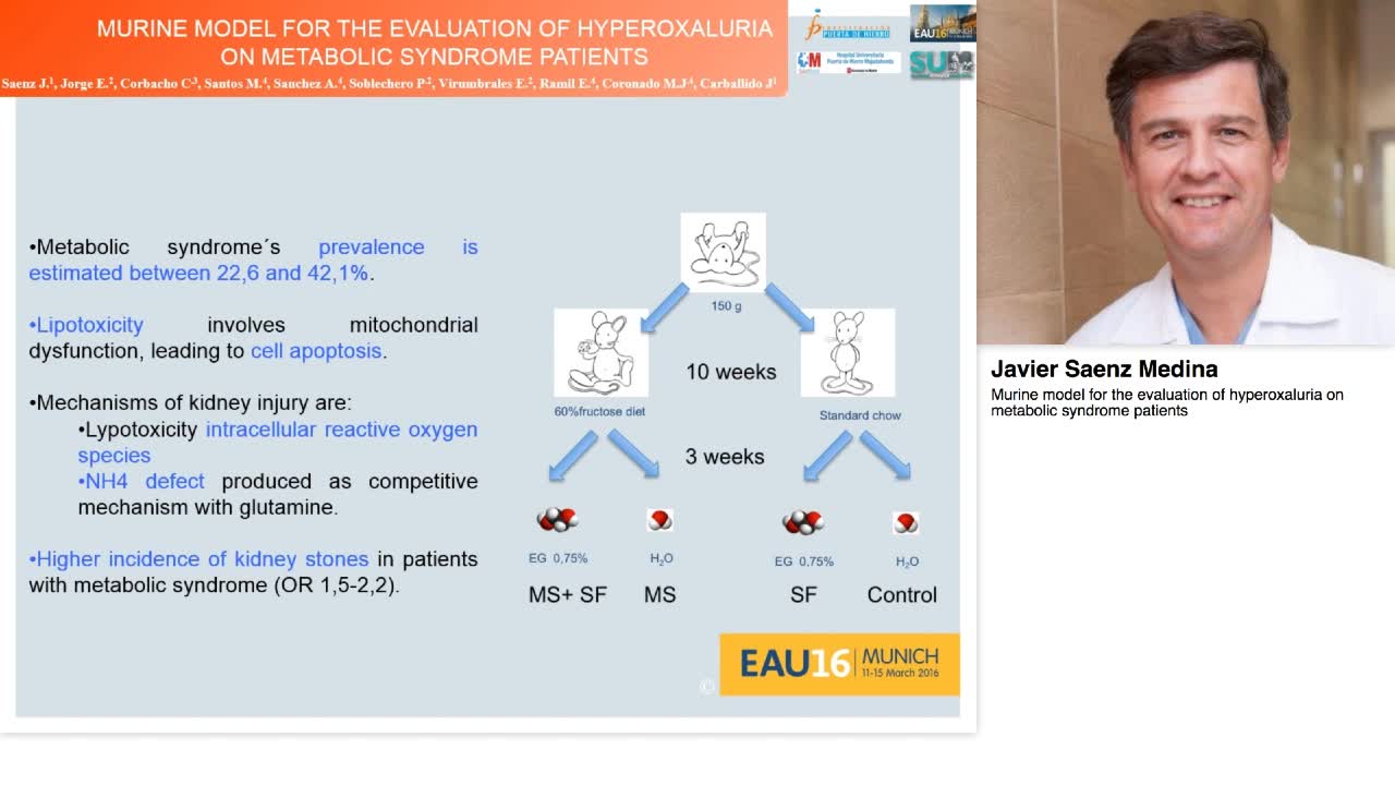 Murine model for the evaluation of hyperoxaluria on metab-