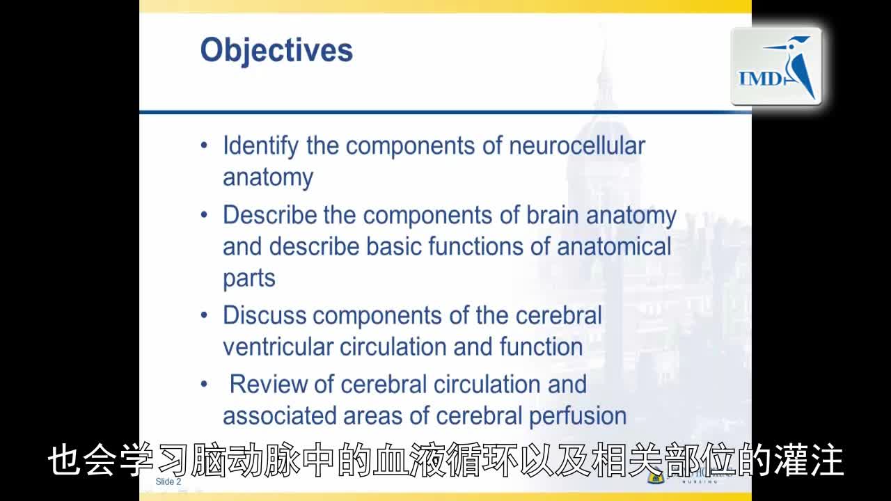 解剖学与生理学--神经解剖学（1）mp4
