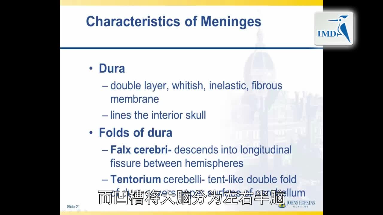 解剖学与生理学之神经解剖学（4）