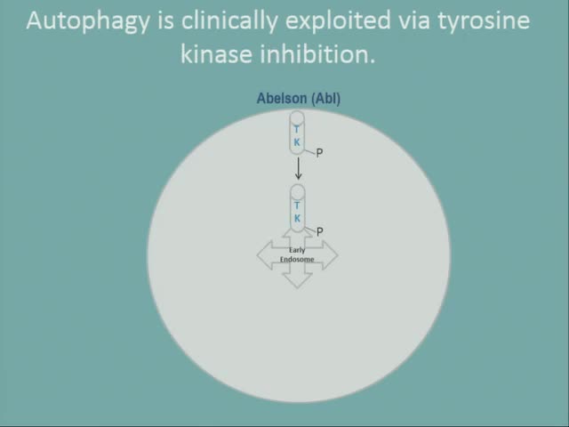 Nilotinib significantly alters CSF biomarkers and increases endogenous dopamine in open label phase I clinical trial in Parkinso