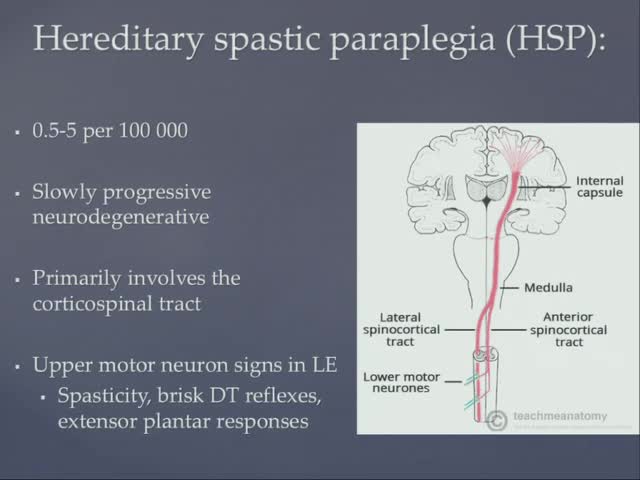 Functional Outcomes in Hereditary Spastic Paraplegia A Prospective Cohort Study