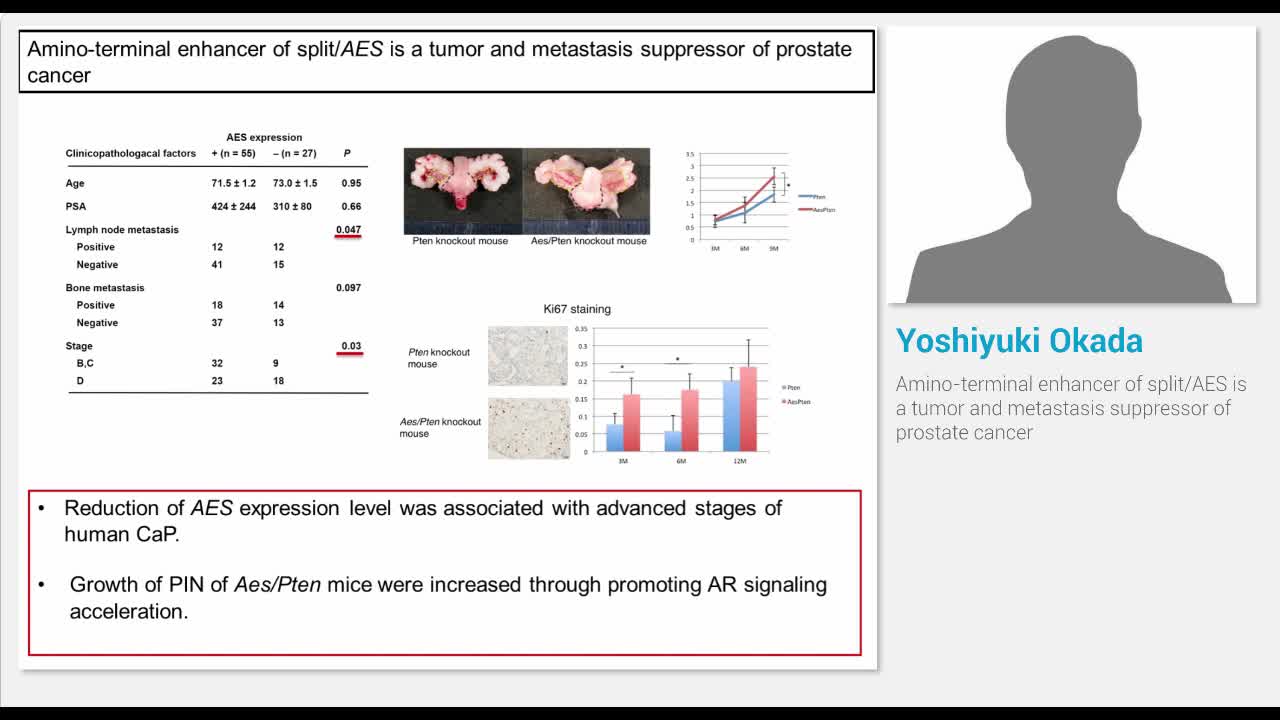 Amino-terminal enhancer of split-AES is a tumor and metas..-