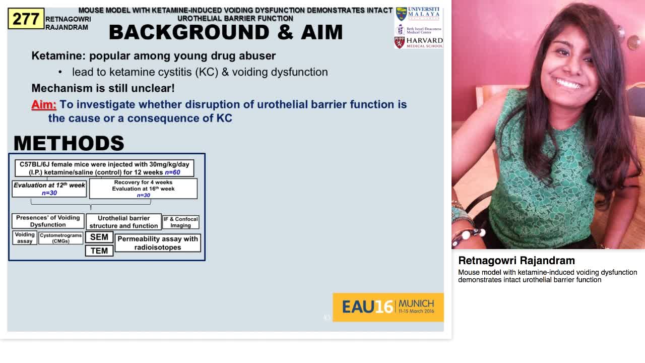 Mouse model with ketamine-induced voiding dysfunction dem-