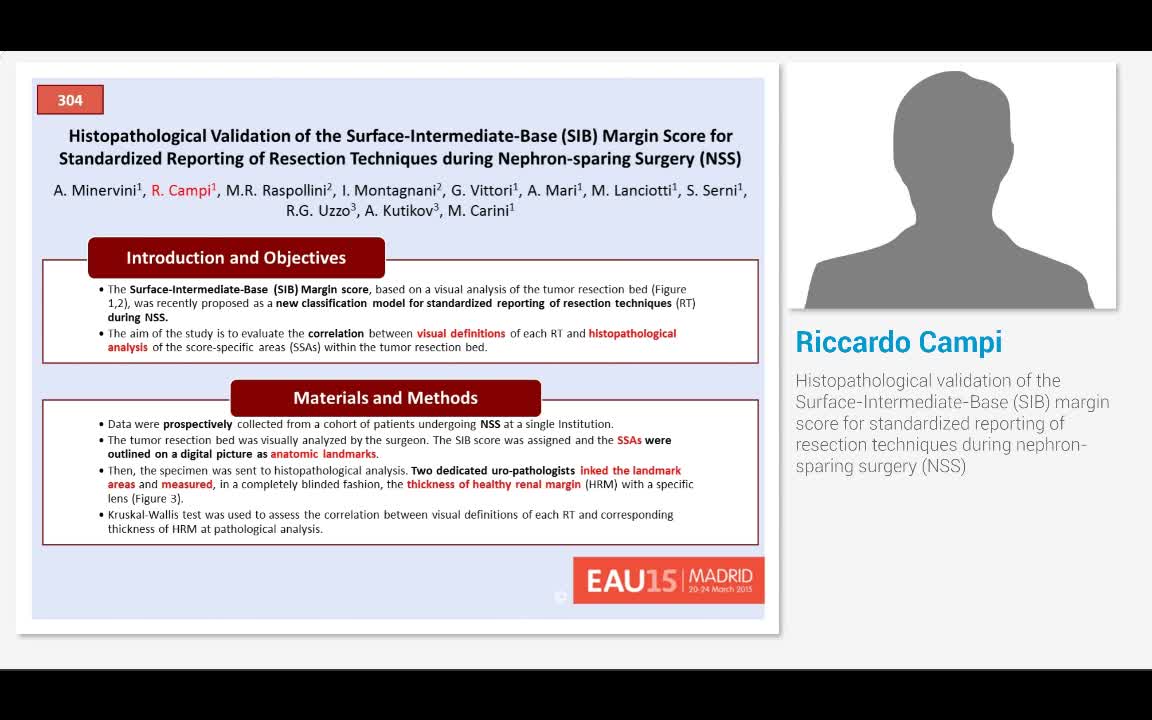 Histopathological validation of the Surface-Intermediate-..-
