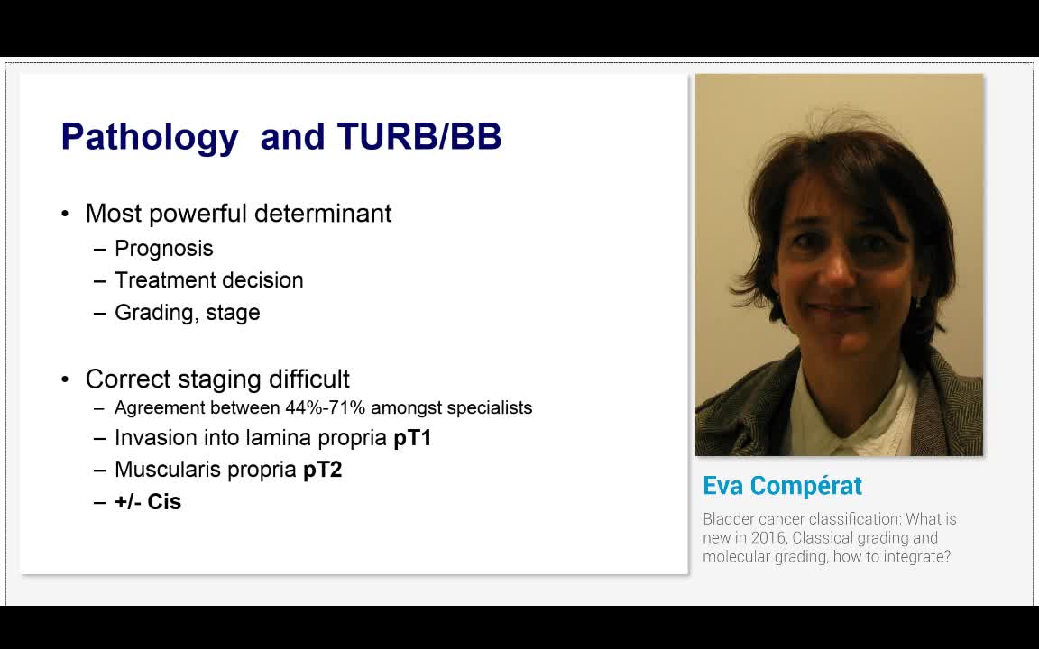 Bladder cancer classification, What is new in 2016, Class..-