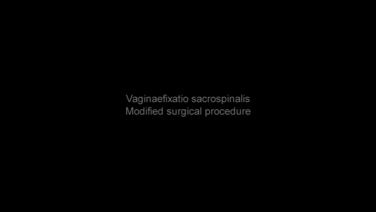 V04 - Modified vaginaefixatio sacrospinalis vaginalis - a minim..-