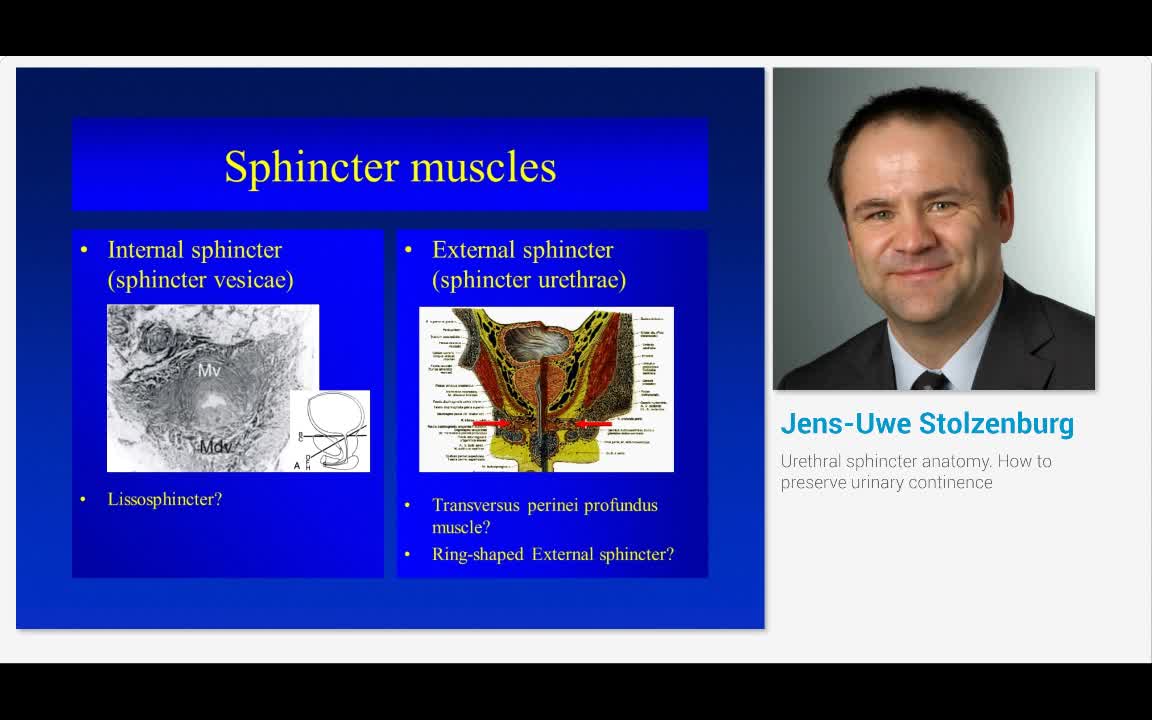 Urethral sphincter anatomy. How to preserve urinary conti..-