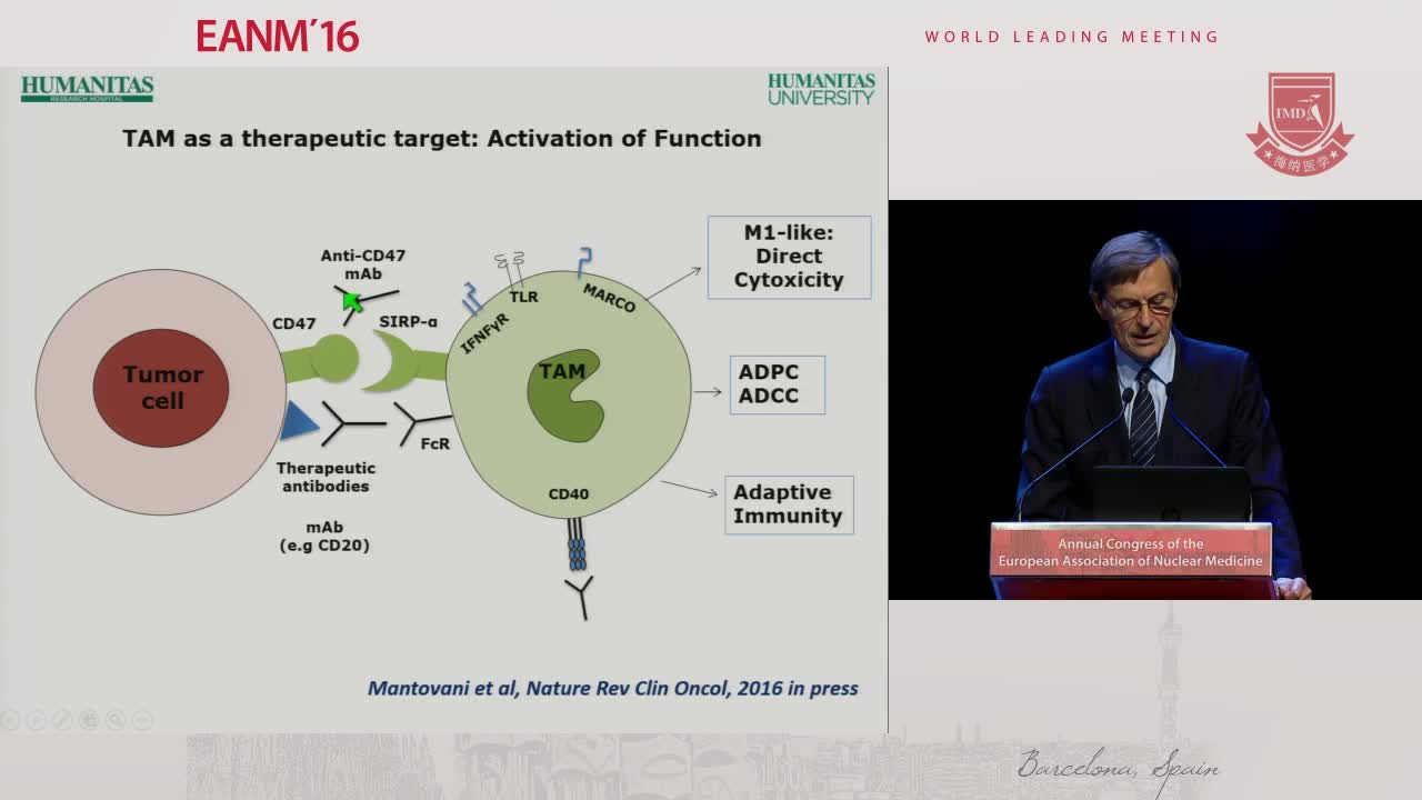 炎症和免疫系统2