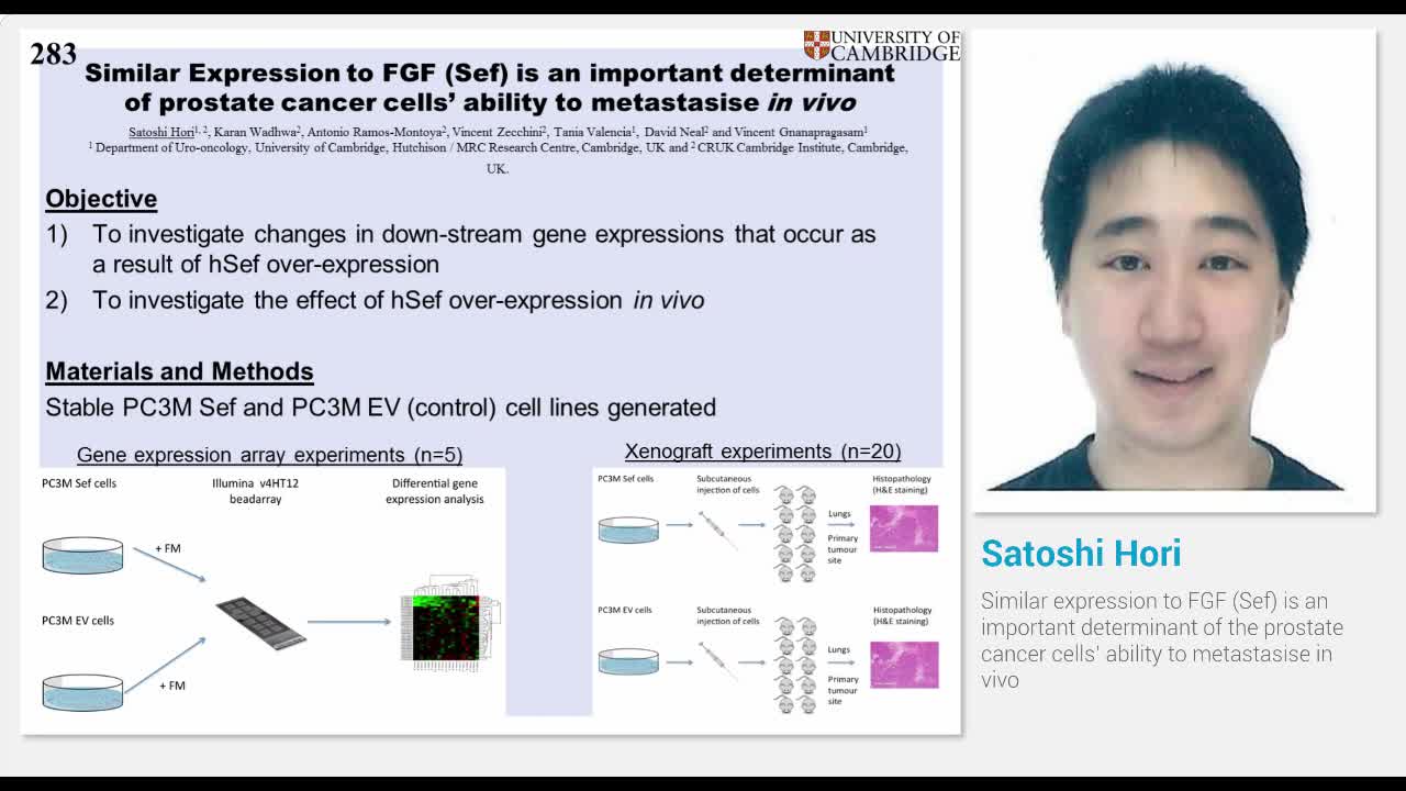 Similar expression to FGF (Sef) is an important determina..-