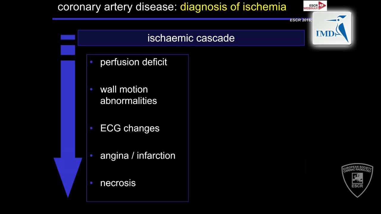 急性冠状动脉综合征发作后的影像诊断（3）