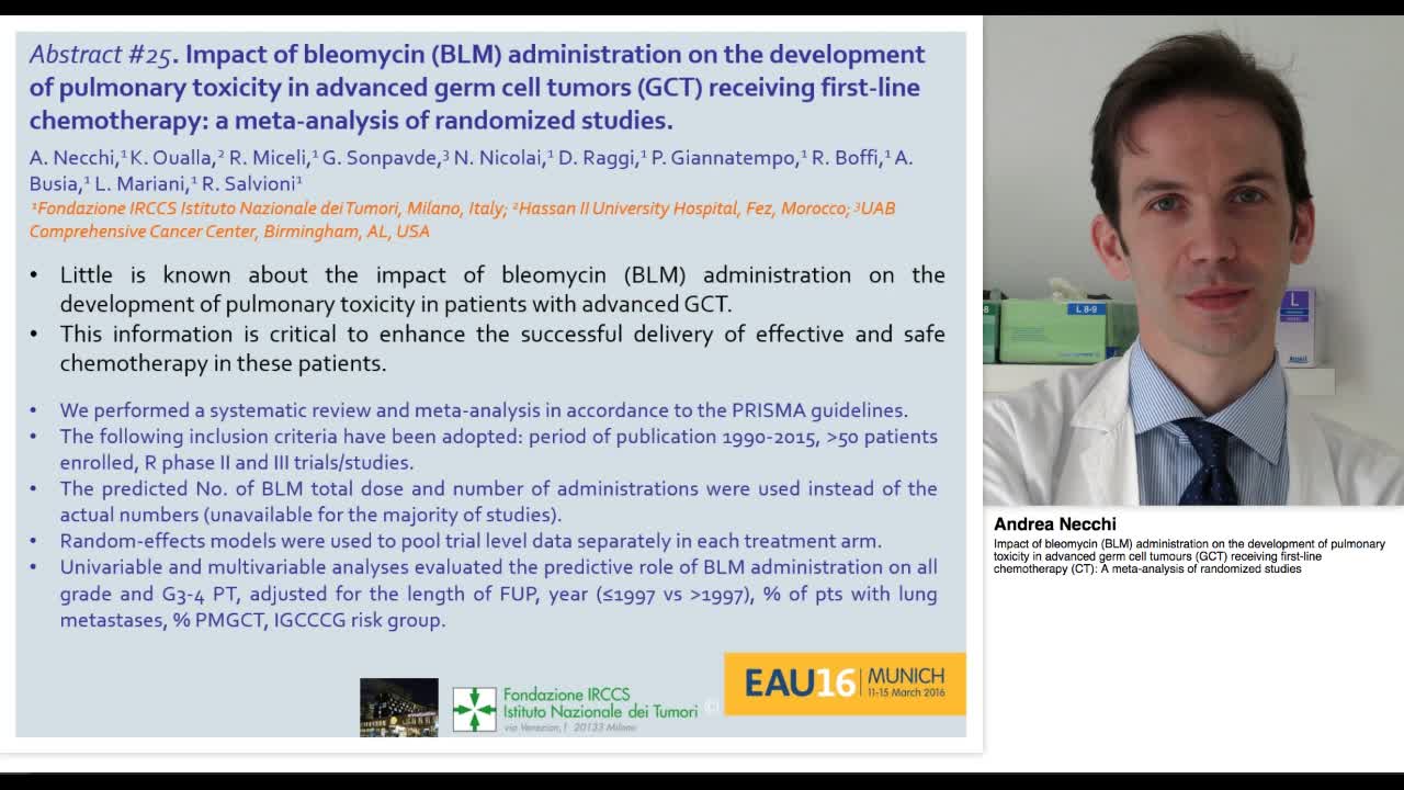 Impact of bleomycin (BLM) administration on the developme-