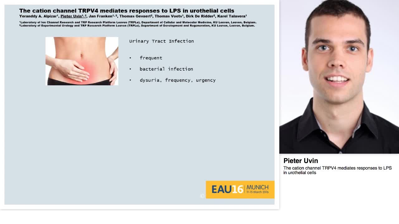 The cation channel TRPV4 mediates responses to LPS in uro-