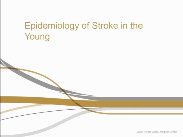 Are Stroke Rates Really Rising in Young Adults and What Can Be Done About It
