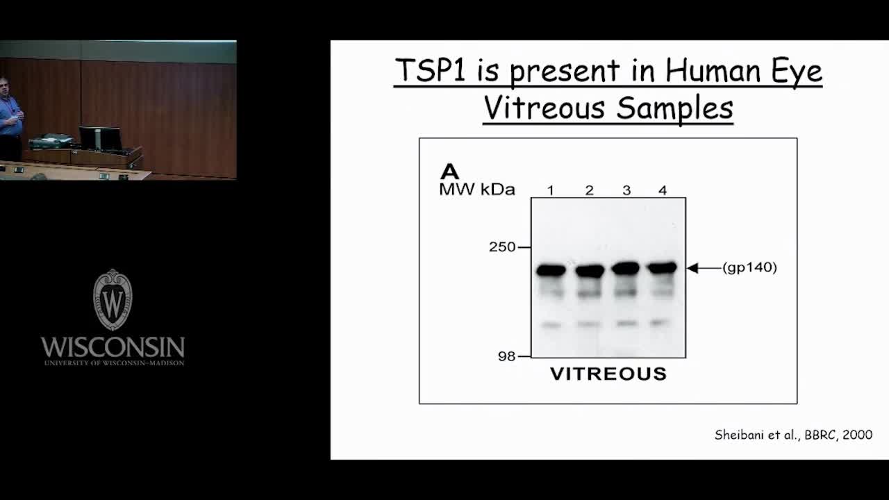 增生型糖尿病视网膜病变（7）