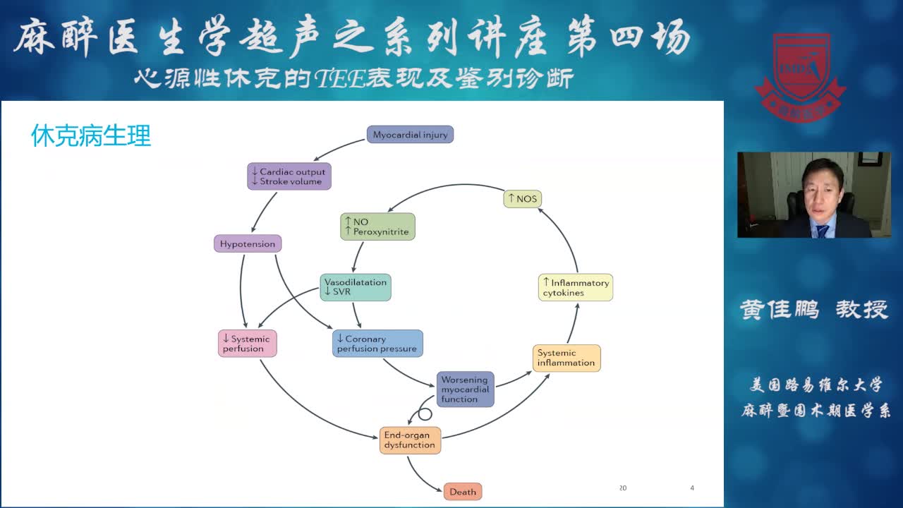 心源性休克的TEE表现及鉴别诊断--黄佳鹏①