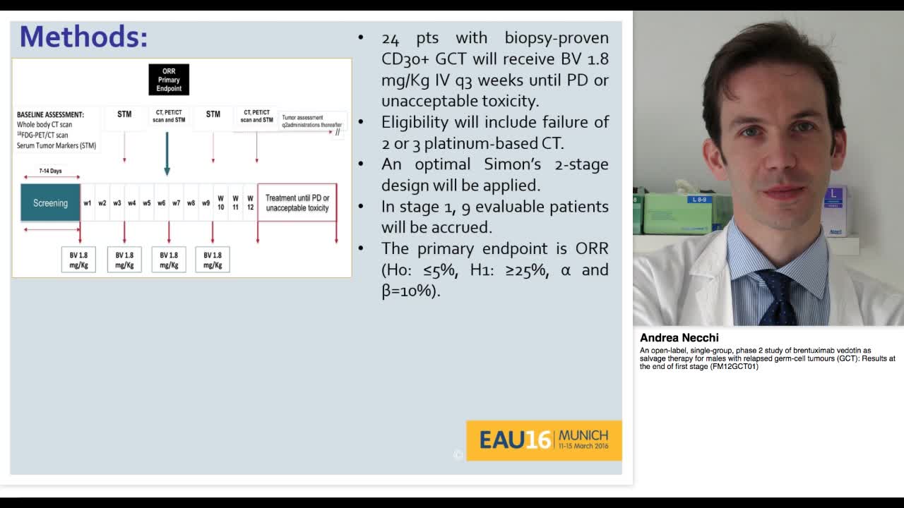 An open-label, single-group, phase 2 study of brentuximab-