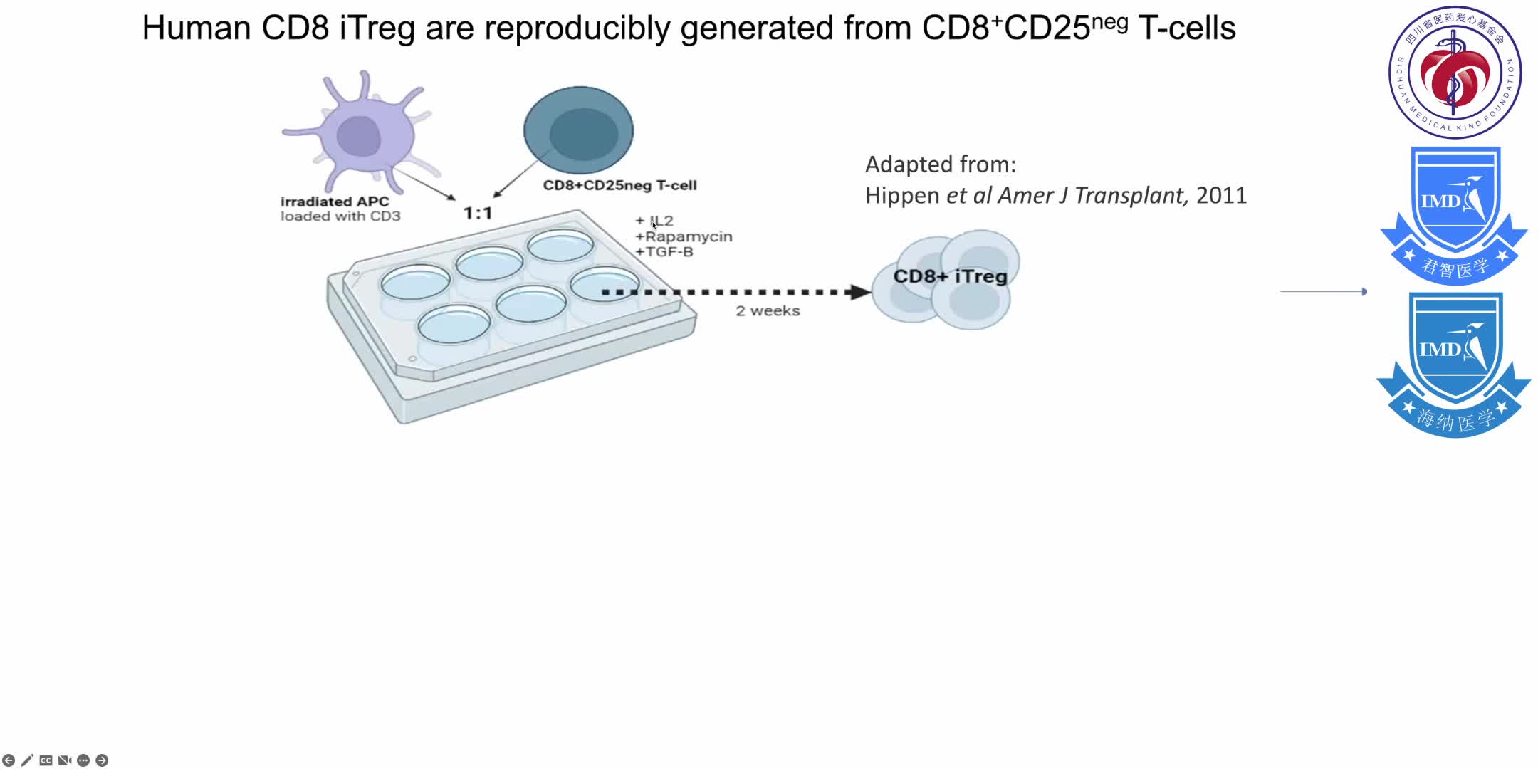 discusses the biological properties of regulatory T cells (Tregs) that are well suited for regaining immune homeostasis 18