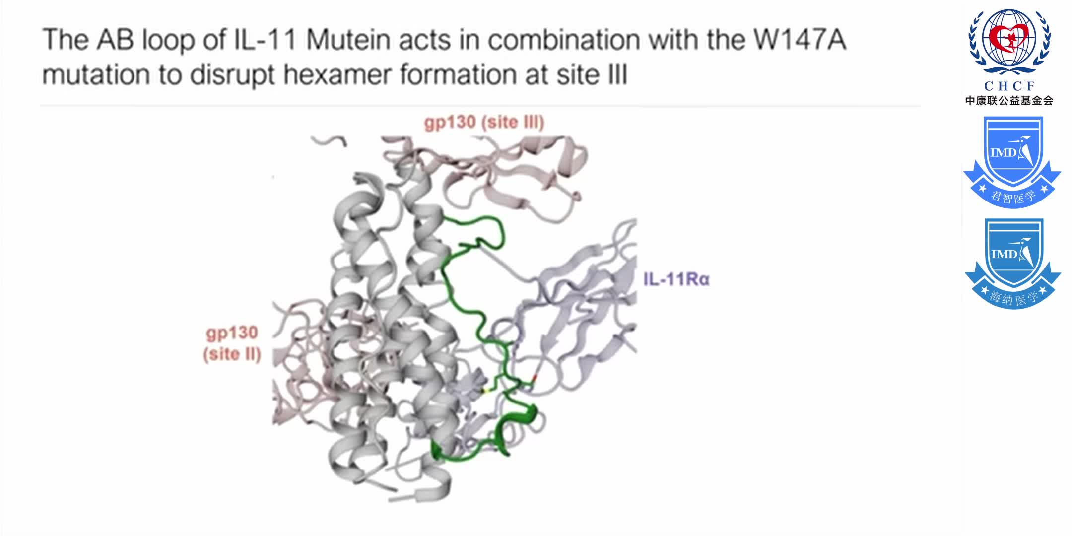 Structures of the interleukin 11 signalling complex 1-12