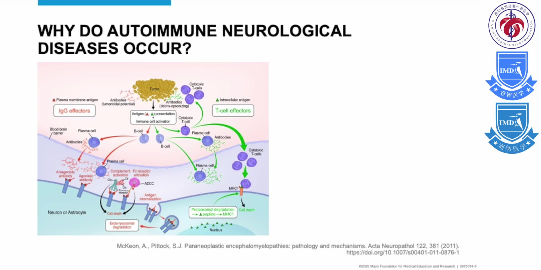 presents a summary of autoimmune central nervous system (CNS) disorders 3