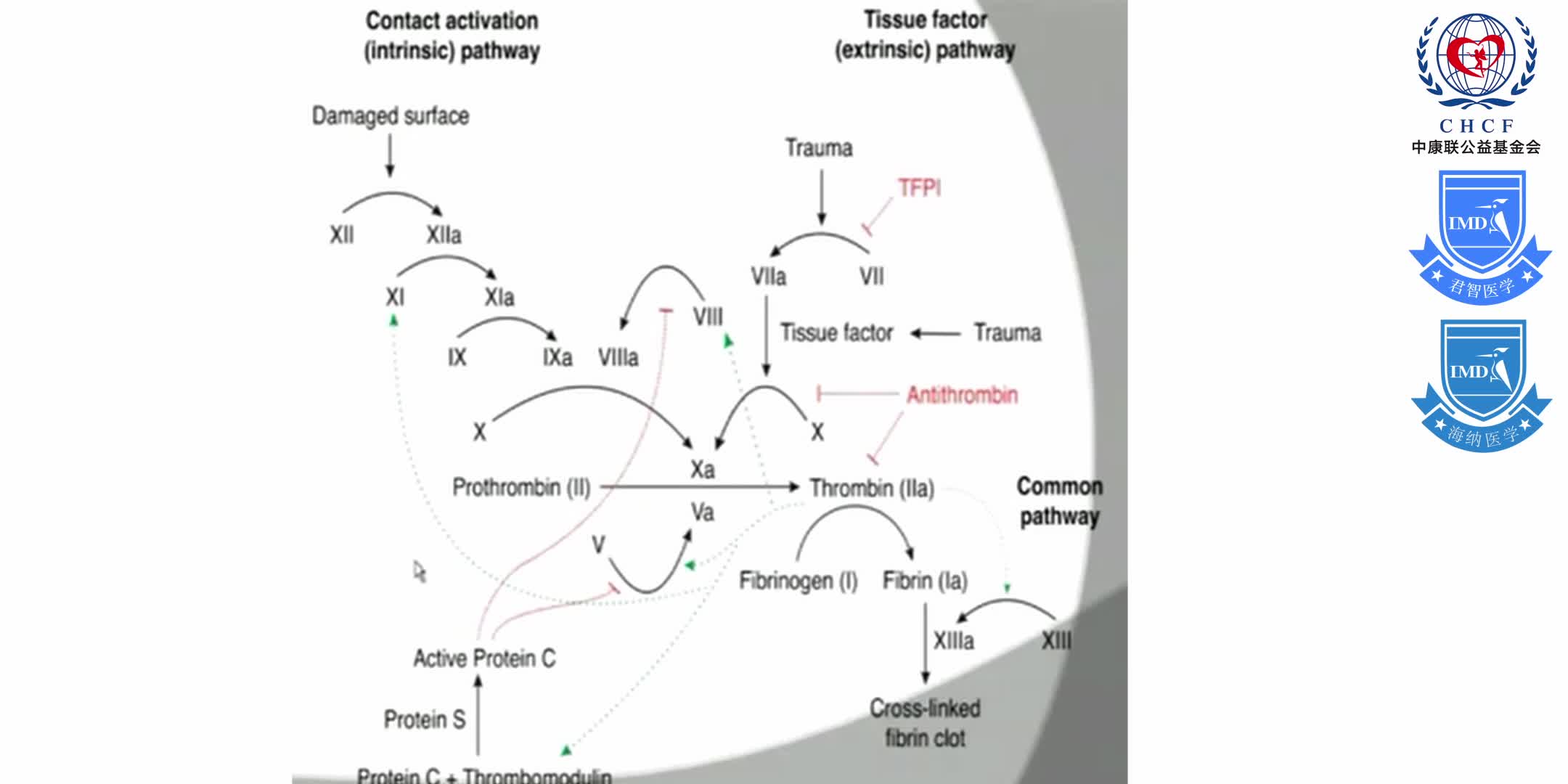 FHA Anesthesia CME Rounds 1-3