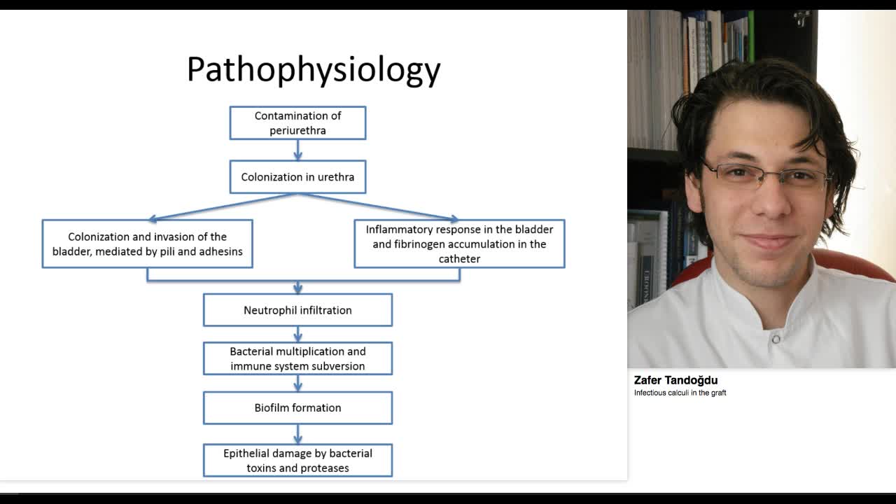 Infectious calculi in the graft