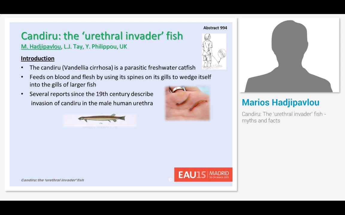 Candiru, The 'urethral invader' fish - myths and facts