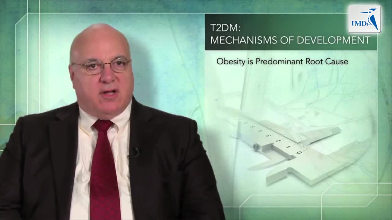 01_糖尿病和肾脏血糖稳态的病理学