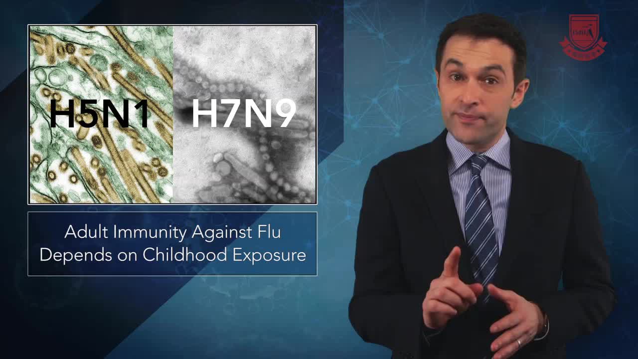 一项新研究重申了婴幼儿与成人对流感病毒株的免疫力之间的联系
