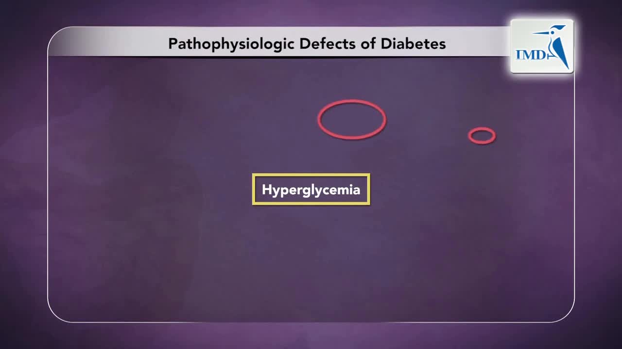 个体化治疗-胰岛素和肠促胰岛素组合治疗（1）