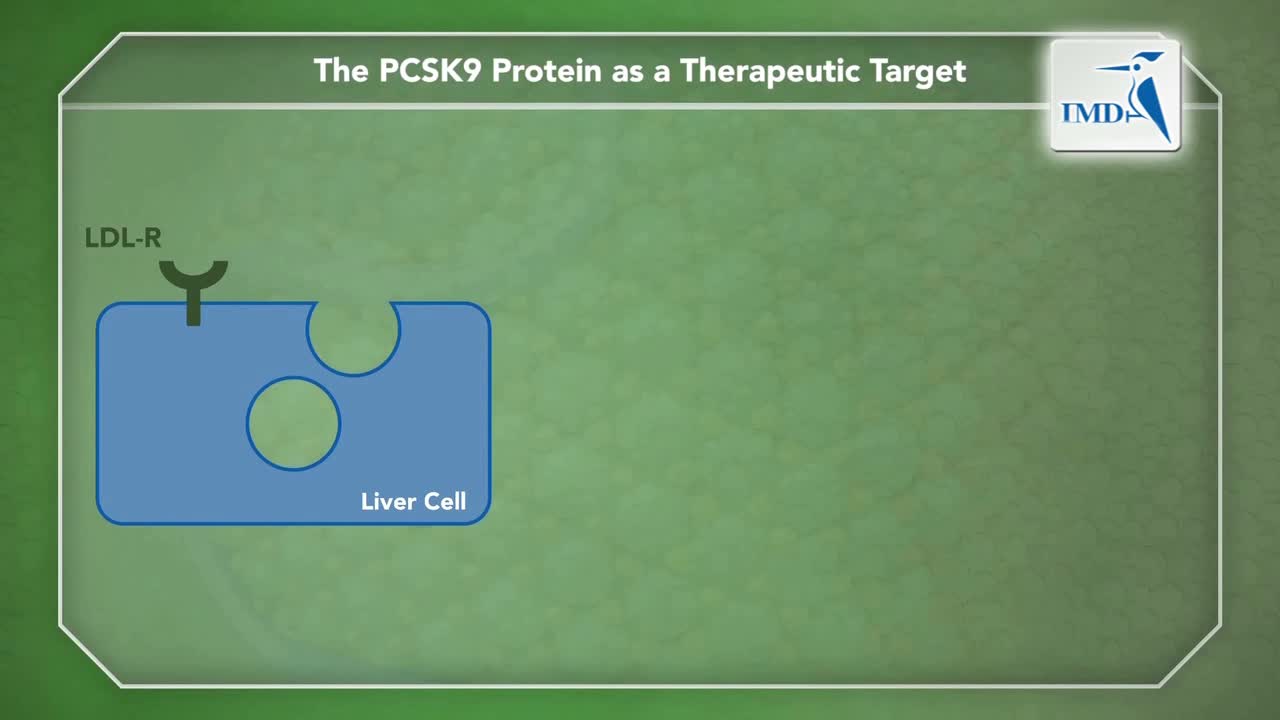 新兴选项与应用（1）