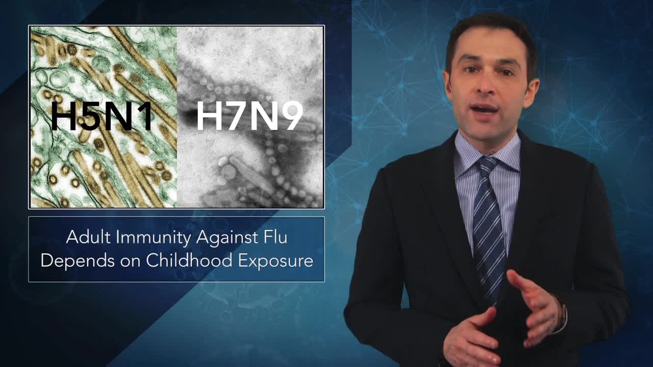 108890 New Study Reaffirms Link Between Early-Life Exposure and Adult Immunity to Flu Strains