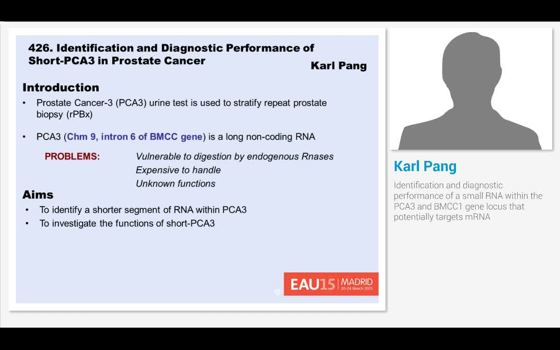 Identification and diagnostic performance of a small RNA ..-