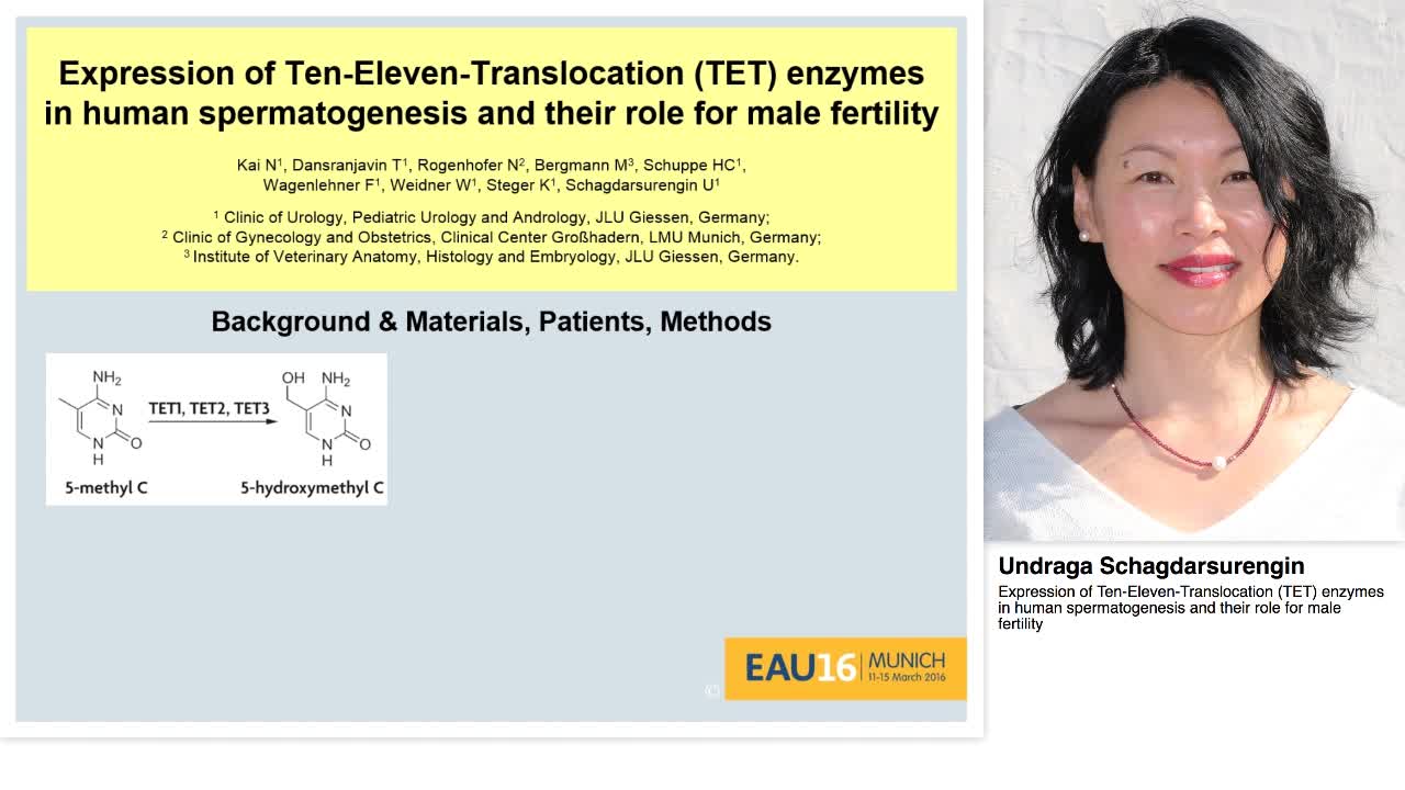 Expression of Ten-Eleven-Translocation (TET) enzymes in h-