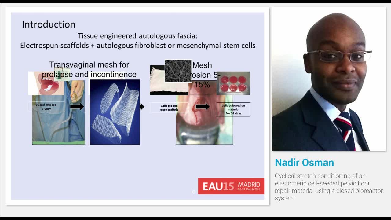 Cyclical stretch conditioning of an elastomeric cell-seed..-