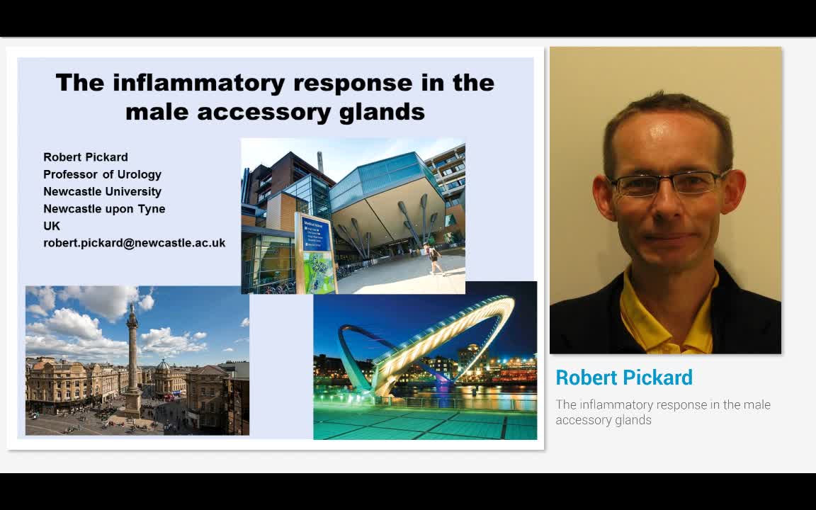 The inflammatory response in the male accessory glands