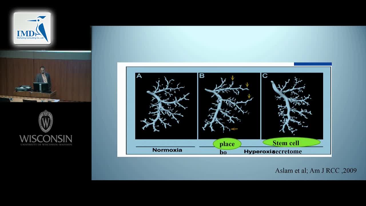 间充质干细胞外泌体（4）