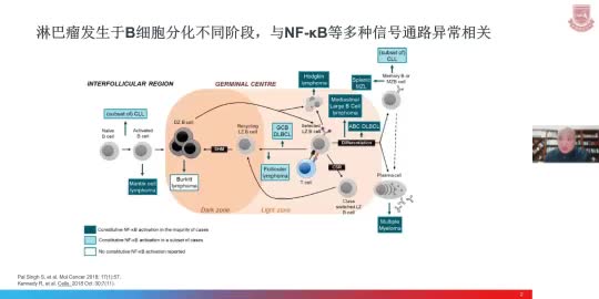 陈伦华-来那度胺在DLBCL中的治疗进展