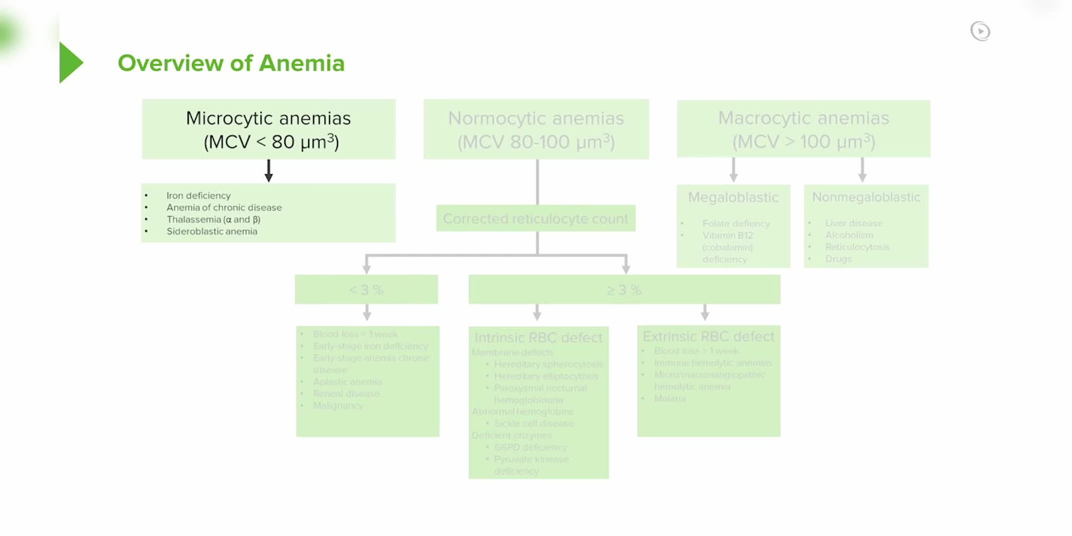 贫血类型与治疗概览