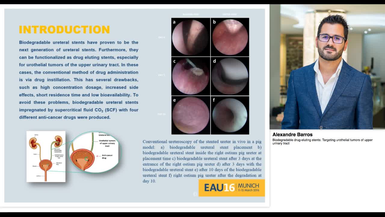 Biodegradable drug-eluting stents, Targeting urothelial t-