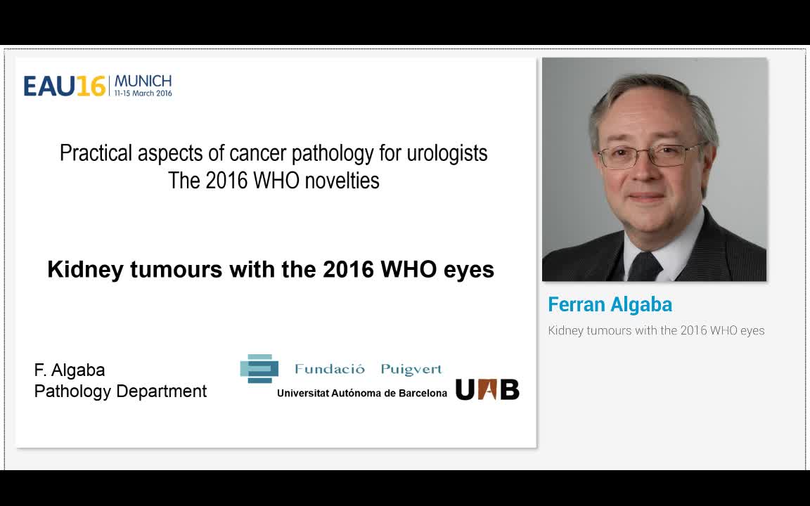 Kidney tumours with the 2016 WHO eyes