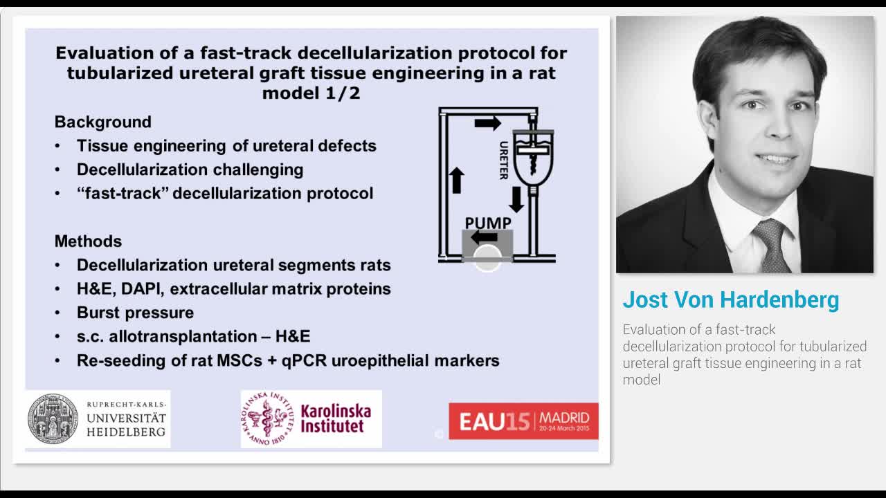 Evaluation of a fast-track decellularization protocol for..-