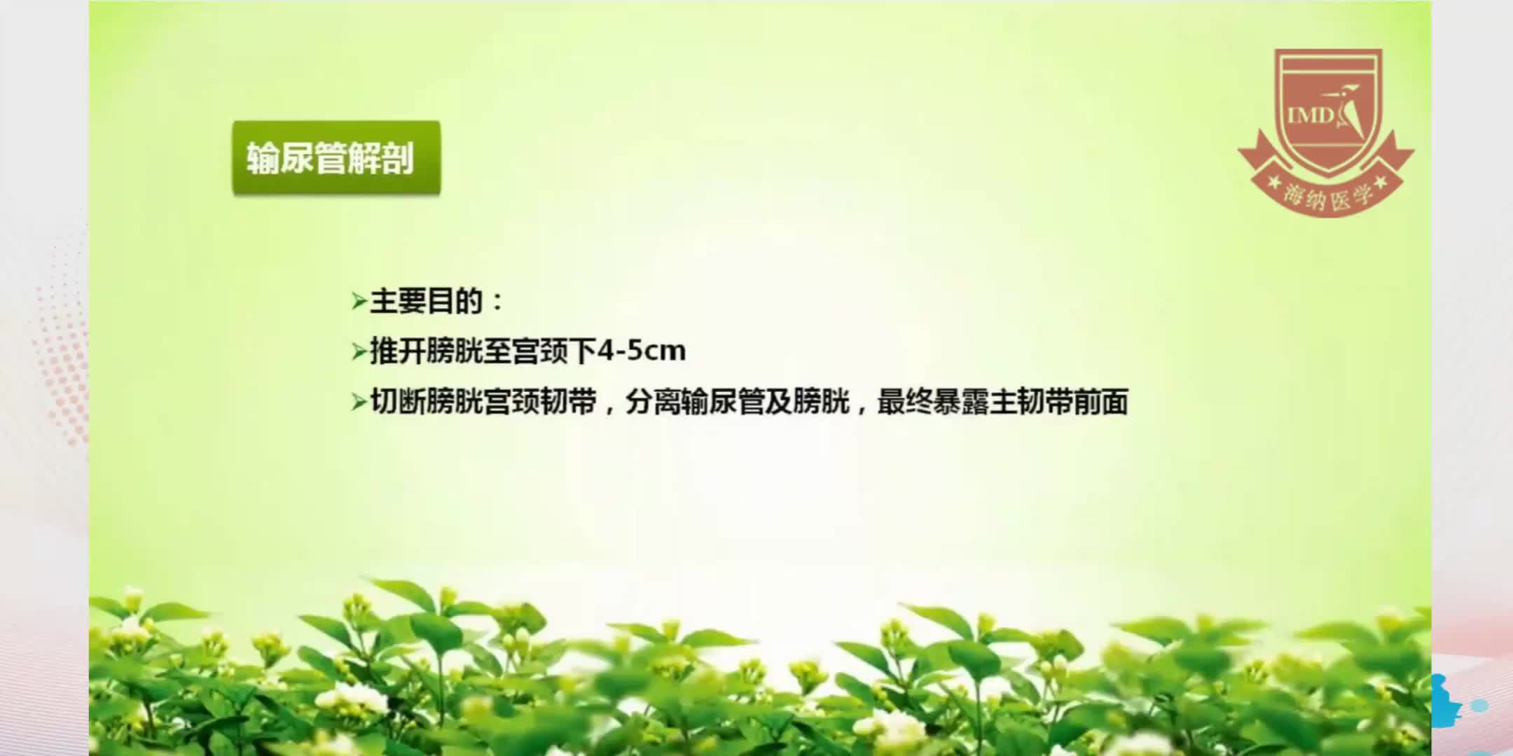 李利-根治性子宫切除术