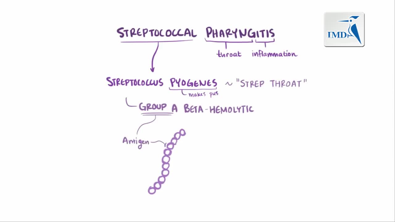 风湿热及心脏疾病：病因 症状 治疗及病理学