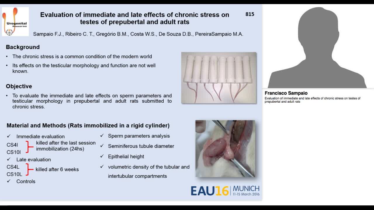Evaluation of immediate and late effects of chronic stres-