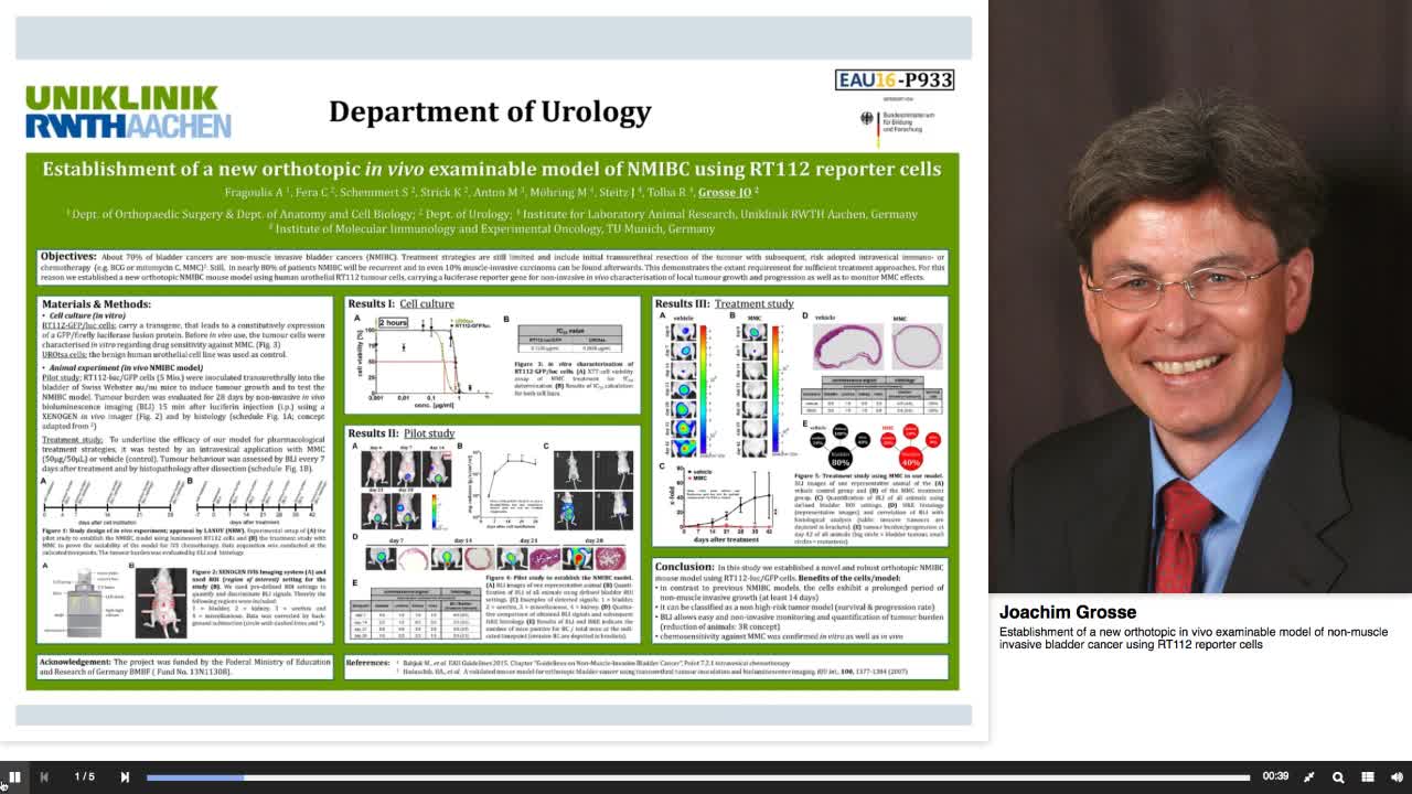 Establishment of a new orthotopic in vivo examinable mode-