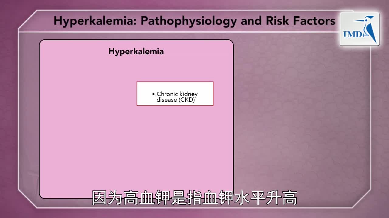 《肾脏病科》2018年第3讲（总第41讲）：高危人群的高钾血症风险因素与高血钾形成（1）