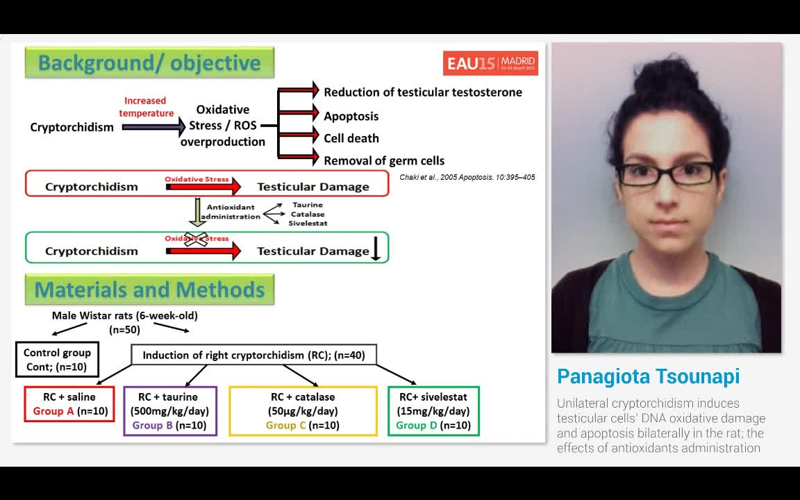 Unilateral cryptorchidism induces testicular cells' DNA o..-