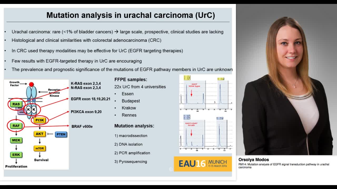 RM14, Mutation analysis of EGFR signal transduction pathw-