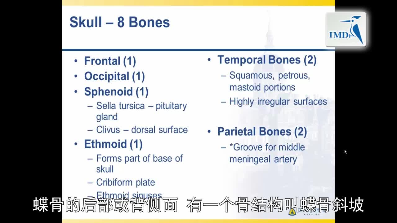 解剖学与生理学--神经解剖学（3）