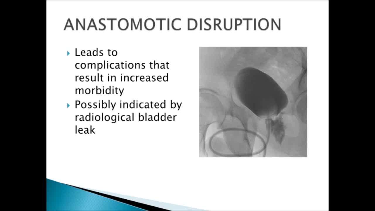 The use of scaffolding tissue biografts to bolster the ve..-